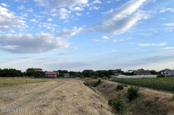 Tamasi, langa padure, 12.824 mp, deschidere 45 ml, teren cu potential anunturi imobiliare Bucuresti