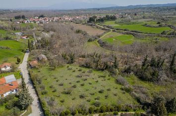 Teren construibil 4.000 mp în Oreskia anunturi imobiliare Grecia