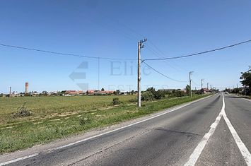 Teren intravilan 2.6 hectare la E671 / DN79 | Front 484 ml anunturi imobiliare Bihor