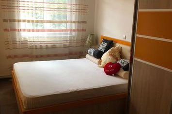 Apartament 3 camere de vanzare ASTRA - Brasov anunturi imobiliare Brasov