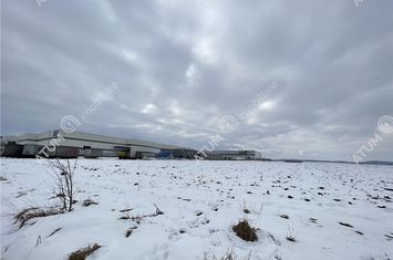 Teren Intravilan de vanzare VEST - Sibiu anunturi imobiliare Sibiu
