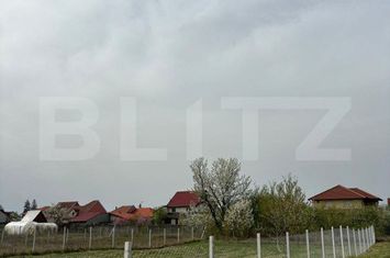 Teren de vanzare SATU MARE - Satu Mare anunturi imobiliare Satu Mare