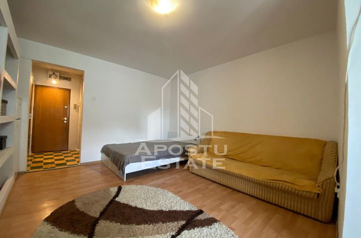 Apartament o camera, PetFriendly, balcon inchis, Take Ionescu anunturi imobiliare Timis