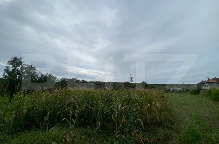 Teren de vanzare BISTRITA - Bistrita-Nasaud anunturi imobiliare Bistrita-Nasaud