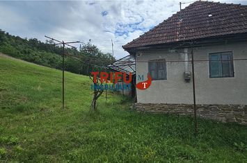 Casă - 2 camere de vanzare CENTRAL - Alba anunturi imobiliare Alba