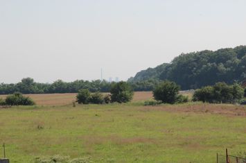Clinceni-Ordoreanu intre paduri anunturi imobiliare Bucuresti