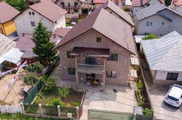 Casă / Vilă cu 8 camere de vânzare în Lunca Cetățuii anunturi imobiliare Iasi