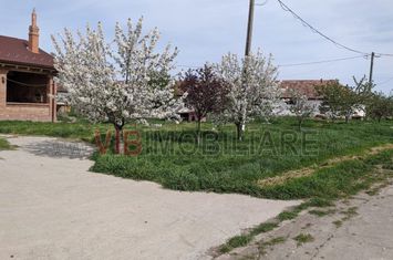 Ferma Zootehnică Mixtă – Cernateaz, Timiș | 9,5 ha | Hale Moderne, Casă 2019, vanzare sau schimb pentru jumatate din valoare anunturi imobiliare Timis