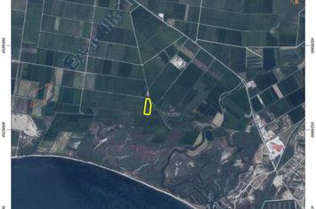 Teren 11.205 mp în Keramoti Nestos anunturi imobiliare Grecia