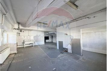 Spațiu industrial-220 mp cu rampă și parcare-zona Orașul de Jos Sibiu anunturi imobiliare Sibiu