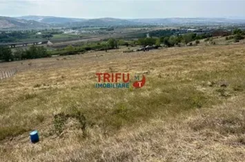 Teren Extravilan de vanzare BARABANT - Alba anunturi imobiliare Alba