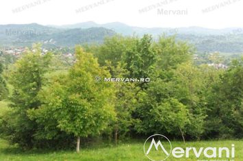 Teren Intravilan de vanzare VOILA - Prahova anunturi imobiliare Prahova