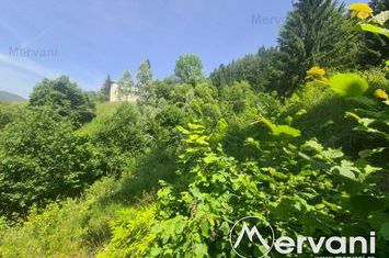 Teren Intravilan de vanzare BUSTENI - Prahova anunturi imobiliare Prahova