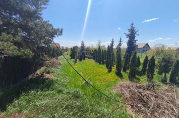 Teren de vanzare RADAUTI - Suceava anunturi imobiliare Suceava