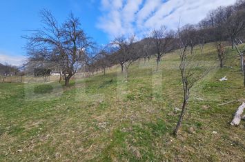 Teren de vanzare CUGIR - Alba anunturi imobiliare Alba