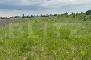 Vilă - 5 camere de vanzare FRATAUTII NOI - Suceava anunturi imobiliare Suceava