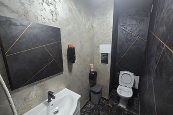 Spațiu comercial de inchiriat IASI - Iasi anunturi imobiliare Iasi