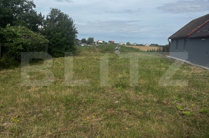 Teren de vanzare SATU MARE - Satu Mare anunturi imobiliare Satu Mare