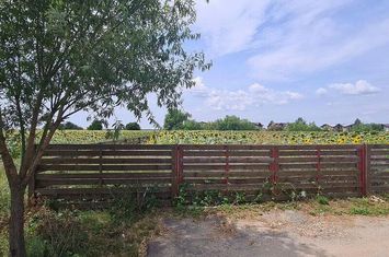 Balotesti str. Amurgului teren 5000 mp anunturi imobiliare Bucuresti