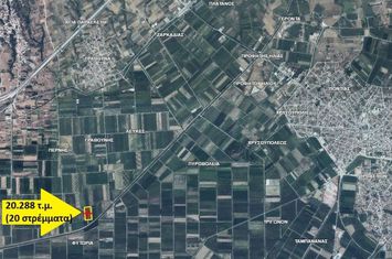 Două parcele 21.043 mp în Perni, Nestou anunturi imobiliare Grecia
