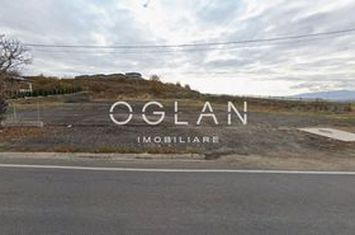 Teren de inchiriat SURA MARE - Sibiu anunturi imobiliare Sibiu