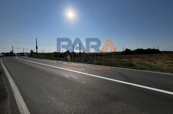 Teren între Cordun și E85 anunturi imobiliare Neamt