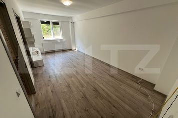 Garsonieră de vanzare CORNITOIU - Dolj anunturi imobiliare Dolj