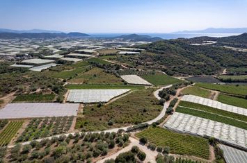 Teren 4373 mp, Paralia Elaiochoriou anunturi imobiliare Grecia