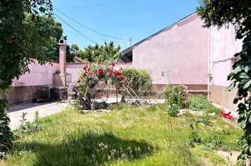 Casa cu 6 camere de inchiriat in Rogerius anunturi imobiliare Bihor