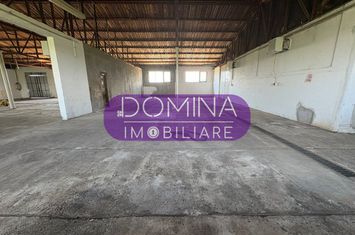 Spațiu industrial de inchiriat TETILA - Gorj anunturi imobiliare Gorj