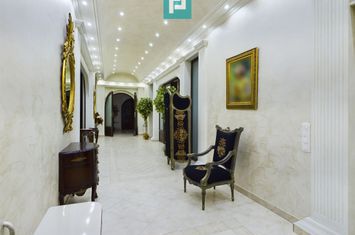 Vilă luxoasă în Serbia anunturi imobiliare Timis