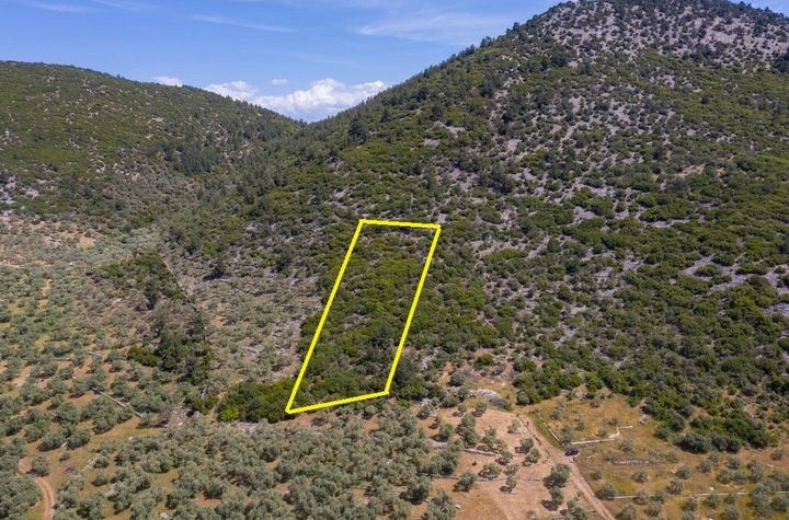 Teren agricol 4.655 mp în Rachoni, Thassos anunturi imobiliare Grecia