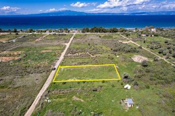 Teren agricol 1373 mp în Skala Sotiros anunturi imobiliare Grecia