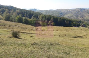 Teren intravilan de vanzare in Breaza (dezvoltare imobiliara) anunturi imobiliare Prahova