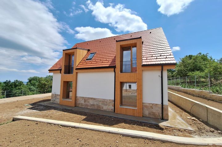 0% Comision Gheorghieni, 3 case, proiect premium, garaj dublu anunturi imobiliare Cluj