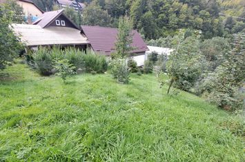 Casă - 4 camere de vanzare MOIECIU - Brasov anunturi imobiliare Brasov