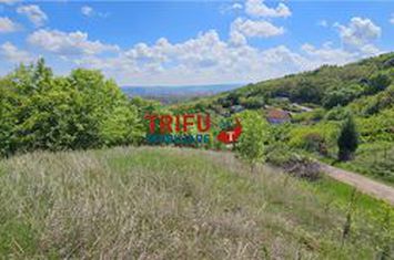 Teren Intravilan de vanzare CENTRAL - Alba anunturi imobiliare Alba