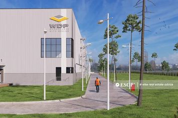 Spațiu industrial de inchiriat APAHIDA - Cluj anunturi imobiliare Cluj