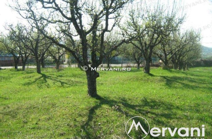 Teren Intravilan de vanzare VOILA - Prahova anunturi imobiliare Prahova