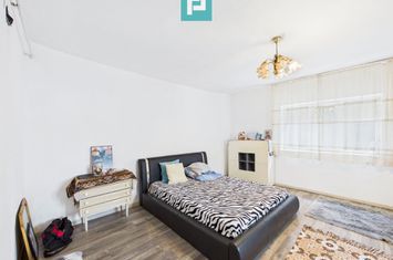 Casă cu 7 camere, teren generos in  Vladimirescu anunturi imobiliare Arad