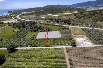 Teren 2550 mp în Nea Peramos, 400 m de plajă anunturi imobiliare Grecia