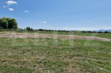 Teren de vanzare HALCHIU - Brasov anunturi imobiliare Brasov