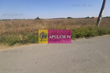 Teren pentru case in 1 Decembrie anunturi imobiliare Bucuresti