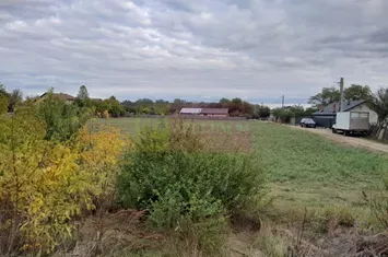 VANZARE TEREN 2000 MP  (52 ML DESCHIDERE LA E85 ) -  COSERENI( il ) anunturi imobiliare Ialomita