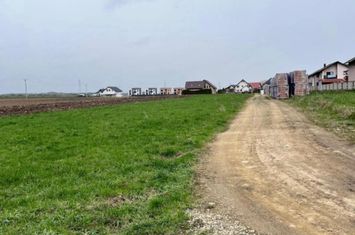 Teren de vanzare RADAUTI - Suceava anunturi imobiliare Suceava