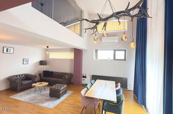 Apartament spectaculos cu 5 camere, intr-o vilă exclusivistă! anunturi imobiliare Bucuresti