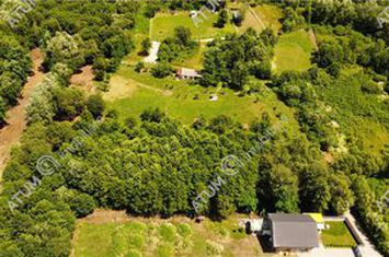 Teren Intravilan de vanzare AVRIG - Sibiu anunturi imobiliare Sibiu