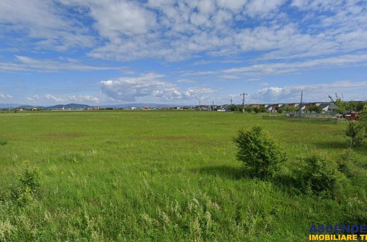 Teren Extravilan de vanzare SUD-VEST - Brasov anunturi imobiliare Brasov