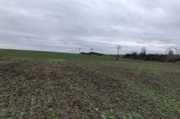Teren de vanzare ORADEA - Bihor anunturi imobiliare Bihor
