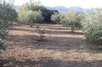 Teren construibil 480 mp - Kipia Paggaiou anunturi imobiliare Grecia
